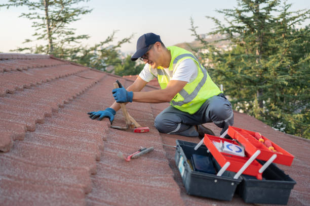 Roof Waterproofing Services in Fulda, MN