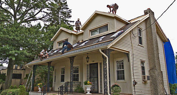 Best Roof Leak Repair  in Fulda, MN